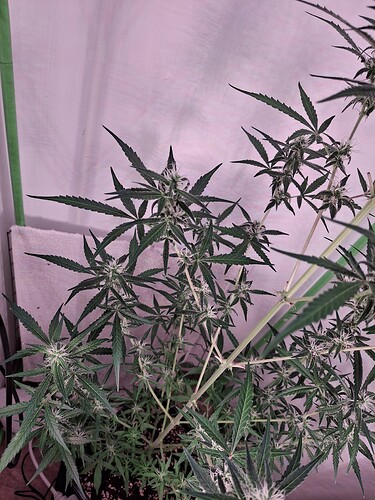 Growreport Bild 202