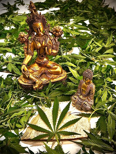 Growreport Bild 125
