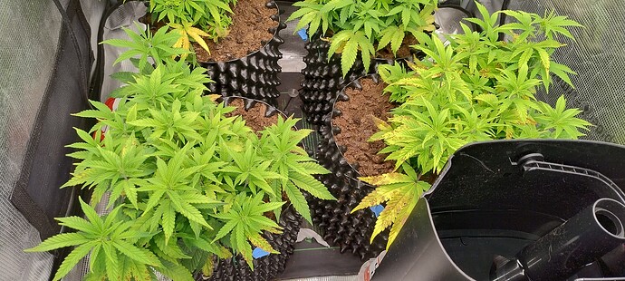 IMG_20251026_162739508_HDR