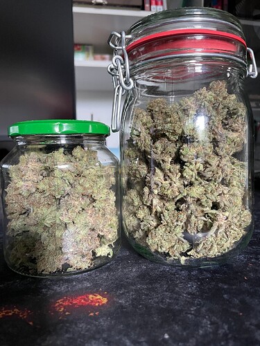 Growreport Bild 16