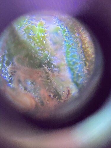 Growreport Bild 47
