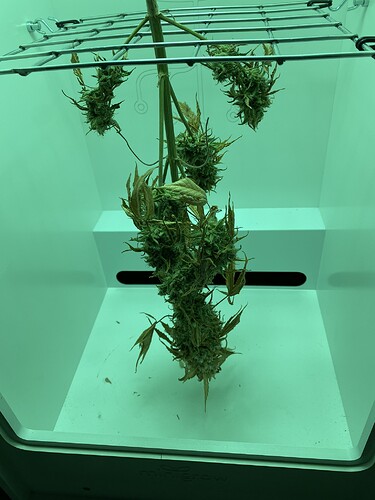 Growreport Bild 5