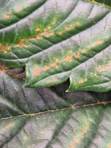Growreport Bild 24