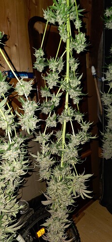 Growreport Bild 56