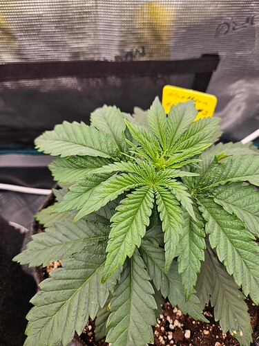 Growreport Bild 27