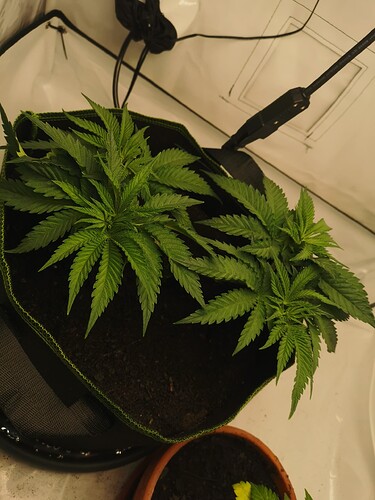 Growreport Bild 11