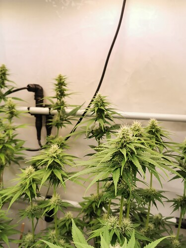 Growreport Bild 7