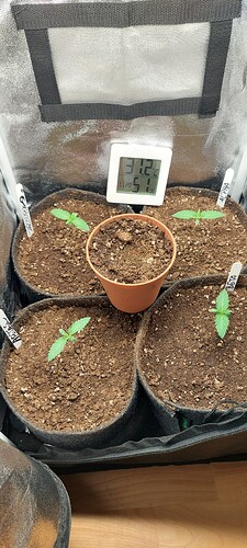 Growreport Bild 8