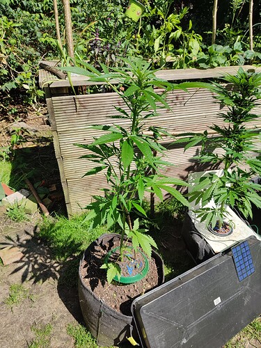 Growreport Bild 16
