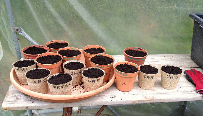 Grow26_0509_6