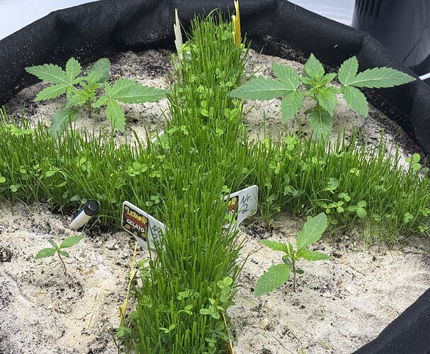 Growreport Bild 11