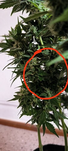 Growreport Bild 14