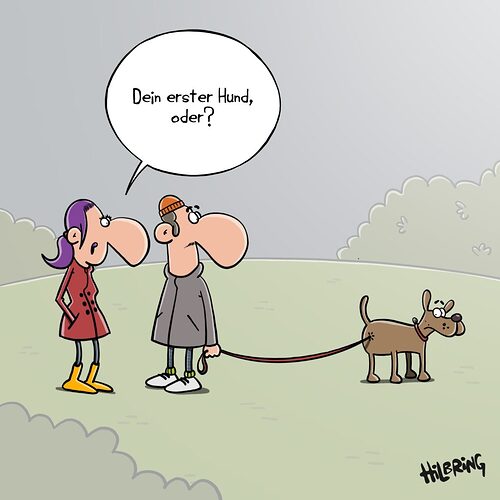 Hundeleine-1024x1024