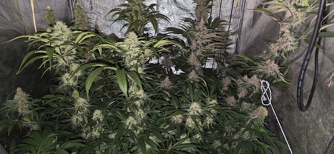 Growreport Bild 17