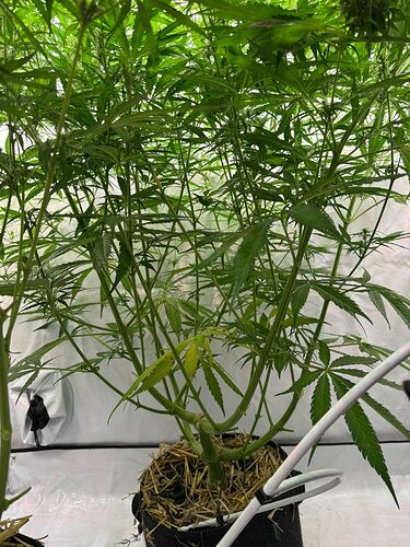 Growreport Bild 10