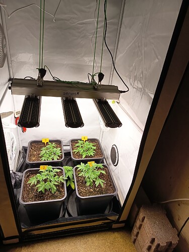 Growreport Bild 6