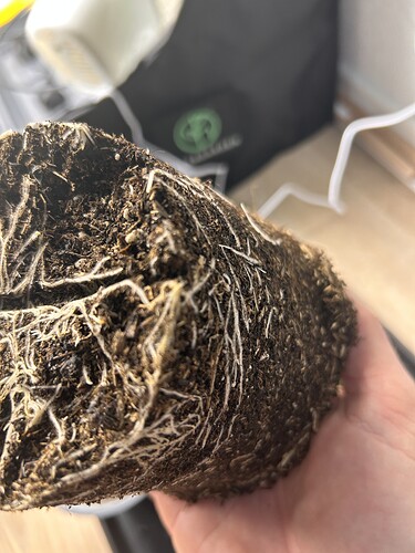 Growreport Bild 16