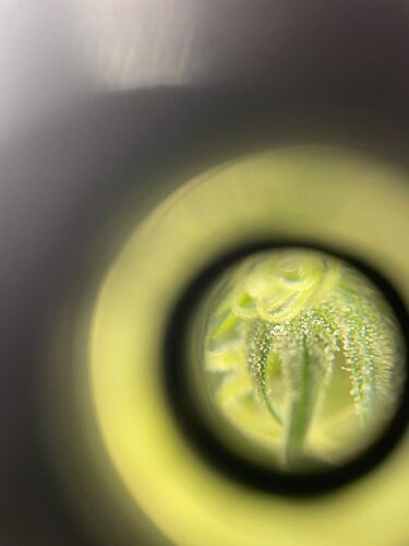 Growreport Bild 7