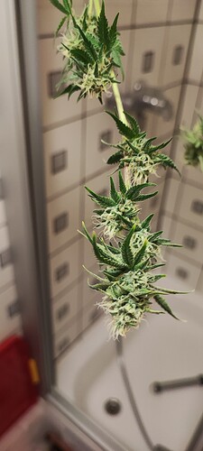 Growreport Bild 17