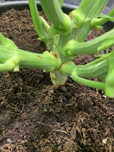 Growreport Bild 10