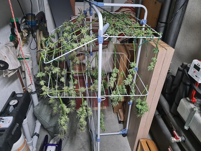Growreport Bild 38