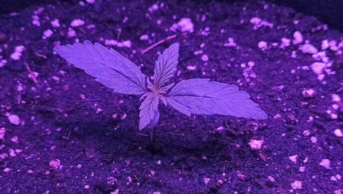 Growreport Bild 18