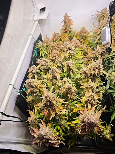 MVIMG_20251202_163856