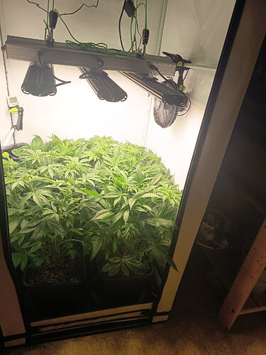 Growreport Bild 16