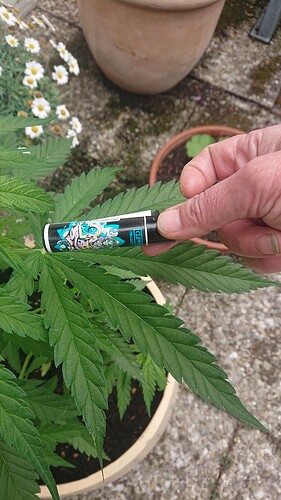 Growreport Bild 17