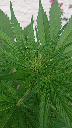 Growreport Bild 23