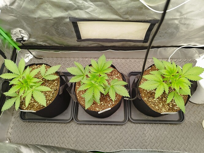 Growreport Bild 8