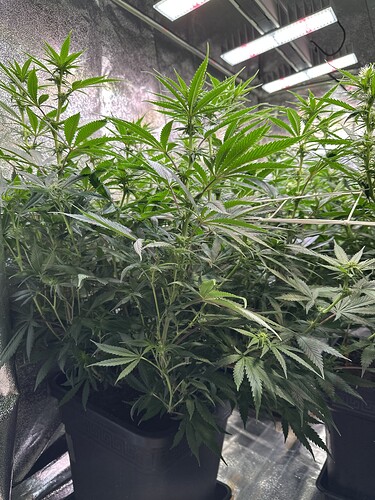 Growreport Bild 18