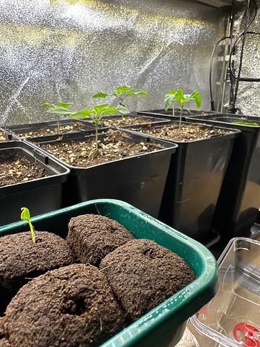 Growreport Bild 20