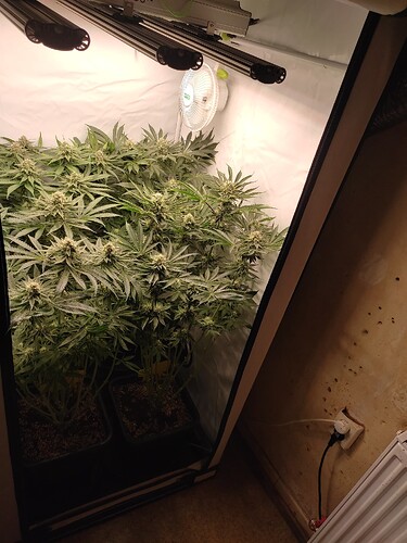 Growreport Bild 4