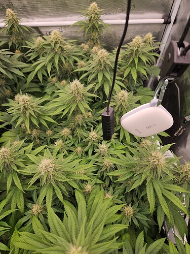 Growreport Bild 5