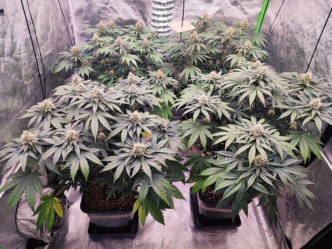 Growreport Bild 24
