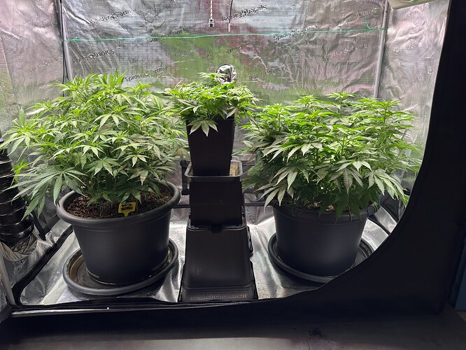 Growreport Bild 56