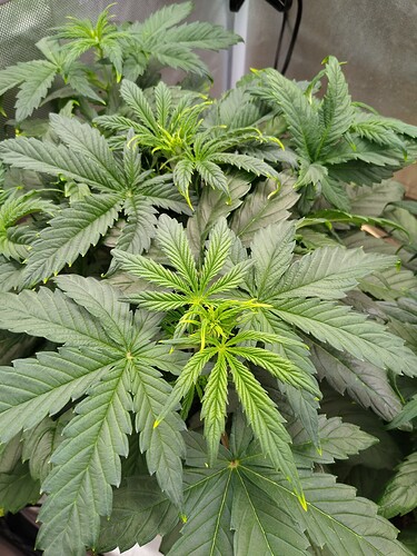 IMG_20240510_215753867