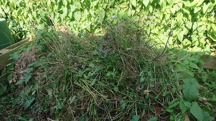 Growreport Bild 26