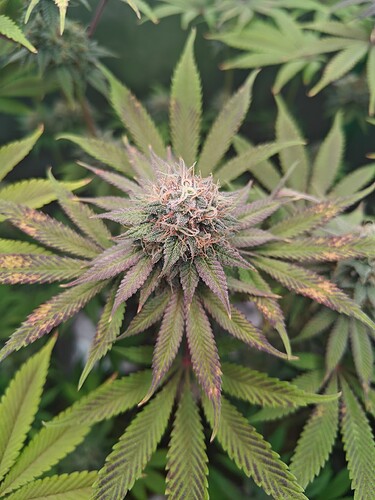 Growreport Bild 14