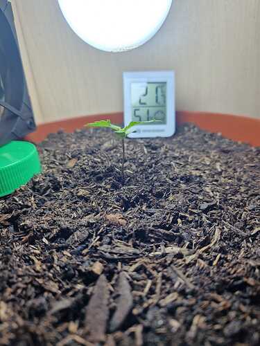 WhatsApp Image 2024-04-21 at 13.20.48