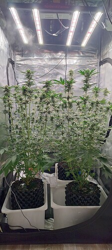 IMG_20250228_101616117_HDR