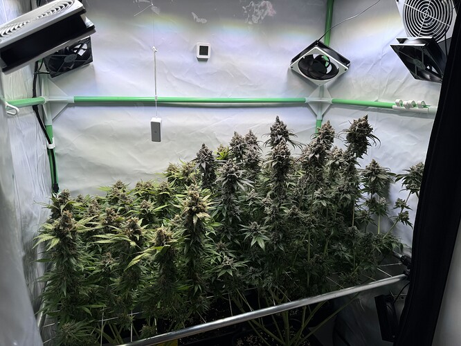 Growreport Bild 44