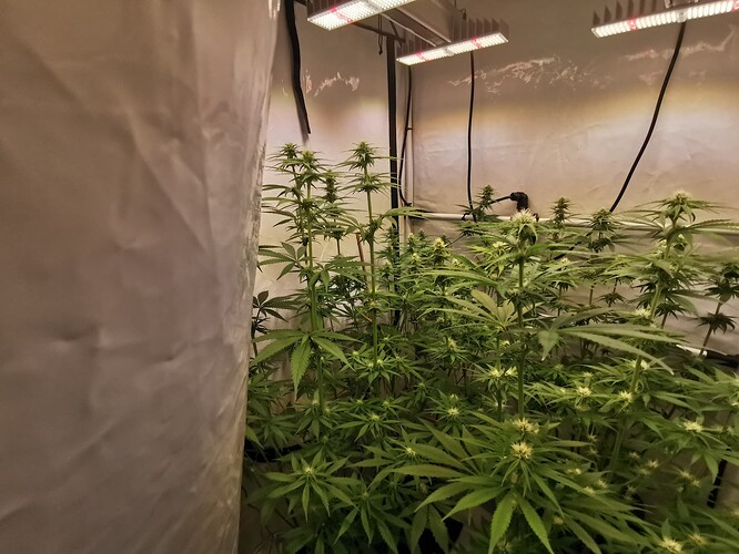 Growreport Bild 9