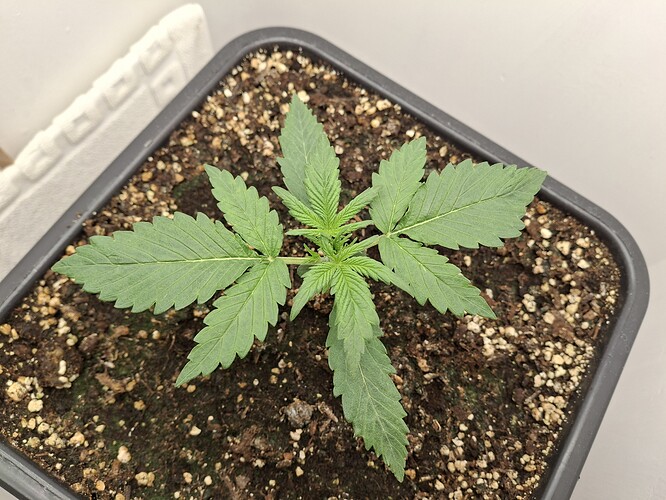 Growreport Bild 24