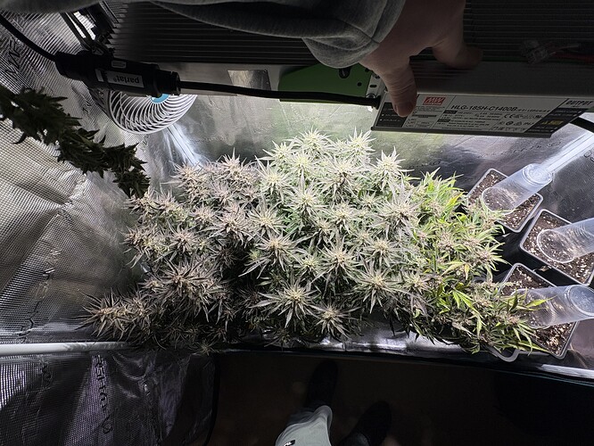 Growreport Bild 9