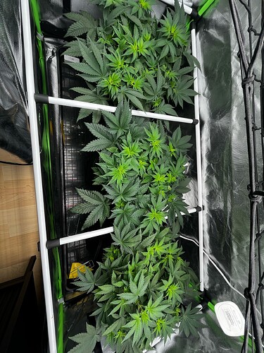 Growreport Bild 1