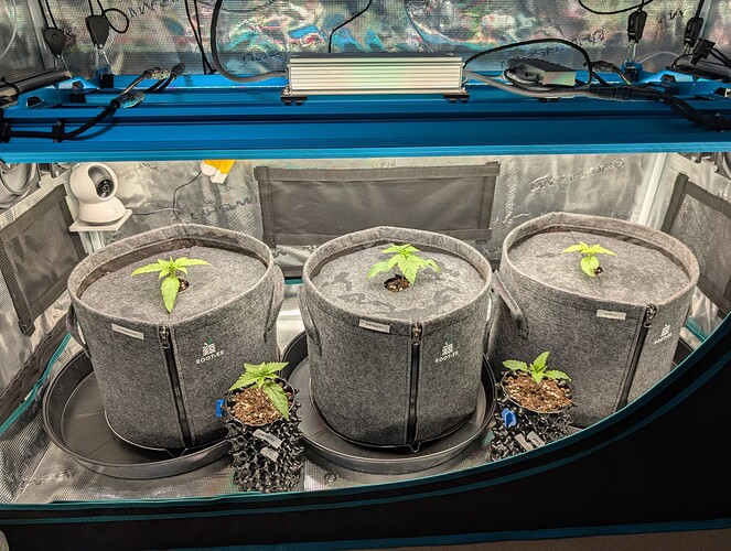 Growreport Bild 8
