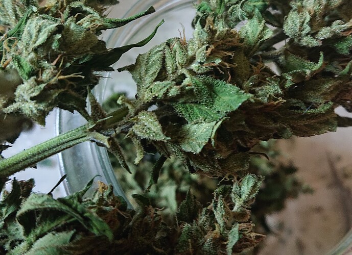 Growreport Bild 30
