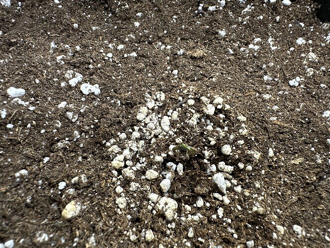 Growreport Bild 6